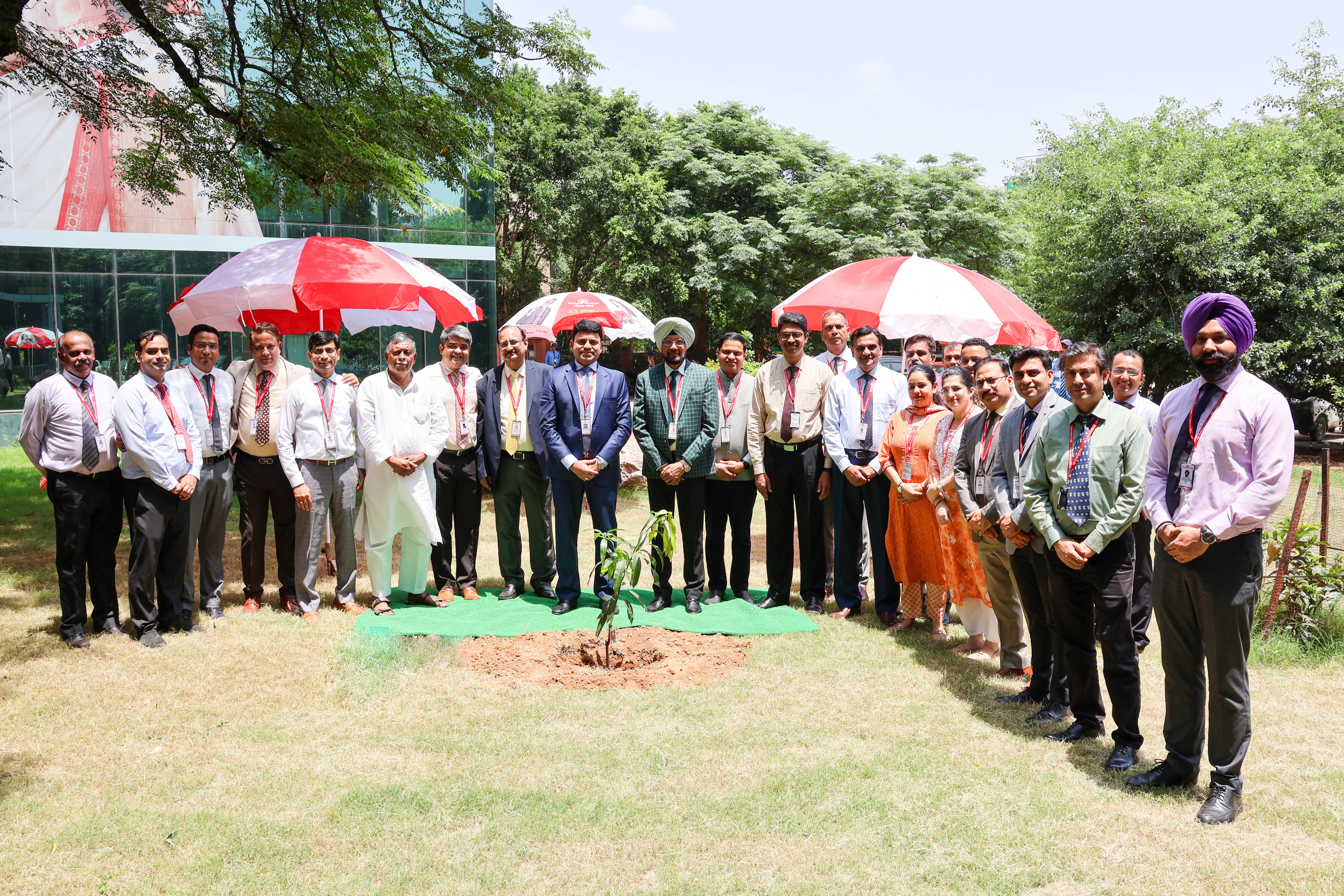Tree Plantation Initiative at our Corporate Office (North)